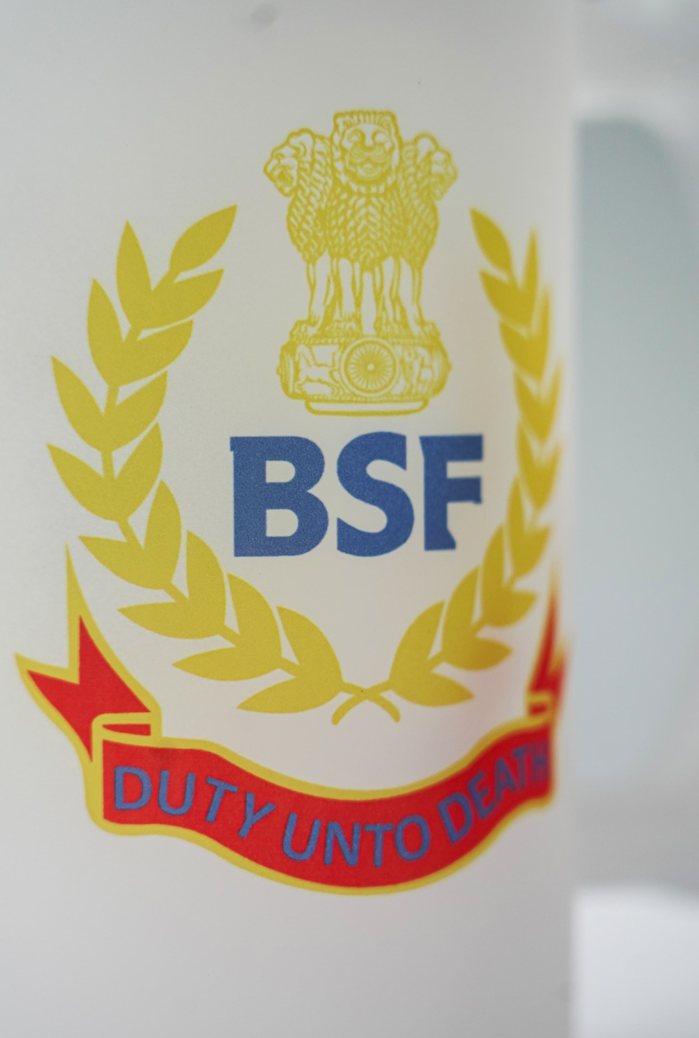 BSF Beer Mug