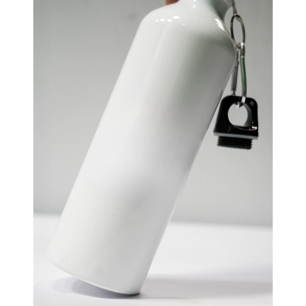 Stainless Steel Bottle (750ml)